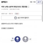 [모두드루와] 블핑까다 걸린 방탄팬 <b>박제</b>