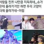 [방탄소년단] <b>캣타워</b> 올라가는 냥이