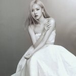 [드루와] 헐 로제 <b>설화수</b> 찐이었네ㄷㄷ