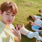 [NCT드림] 6주년 <b>네이버</b>폼에 쓰고싶었던 사진들