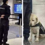 [댓글부탁해] 단발 층<b>내면</b>