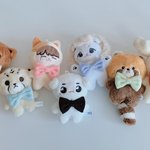 [NCT칠프] <b>야</b> 진짜 애기들 <b>인형</b>에 씌운거봐봐