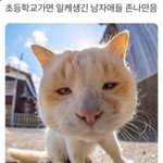 [드루와] 인스타 <b>멘트</b> 추천해줘오요용
