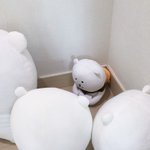 아 <b>졸사</b>컨셉 정하는데 ㅈㄴ 짜증남