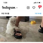 [드루와] 위 <b>아래</b> 고양이 비슷햌ㅋㅋㅋㅋㅋ