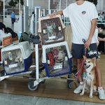 <b>이기우</b>가 입양한 반려견 근황