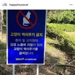 서울대 병원 <b>캣맘</b> 근황