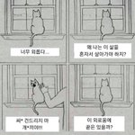 <b>룸카페</b> 남친이랑 가는 거 어떻게 생각해...?