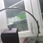 [이것좀봐줘] [추가]홈서비스업체 가사도우미 반려견학대ㅠㅠ(사진있음)