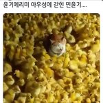 [방탄소년단] 윤기 <b>메리</b>미