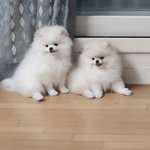 [댓글부탁해] 너네 세뱃돈 <b>통장</b>에 얼마 있음?