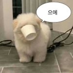 [드루와] 짝남 잊는법 없을까
