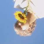 [방탄소년단] 이게 <b>여름</b>이지
