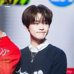[NCT드림] 나 이젠 천러가 고양이 러러로 <b>보여</b>