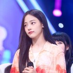 뉴진스민지 인가짤 홈마가 찍은 것 같다