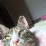 <b>한편</b>으론 보고싶다