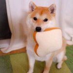 선<b>비니</b>형