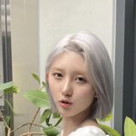 아이브 <b>샵</b> 가을 안티냐?