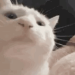 [NCT칠프] #<b>ME</b> NOW