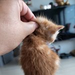 [댓글부탁해] <b>생전</b> ㄹㅇ 프로필 거의 안바꾸던 애가