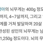 남성이 여성보다 <b>우월</b>하다는  학술적 근거