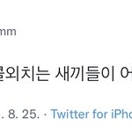 [모두드루와] 더보이즈 쪽팔리겠다