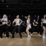 블핑 핑크<b>베놈</b> 안무 이거 알고 있었음?