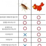<b>자습</b>시간에 떠들어도 봐주는 쌤은