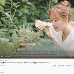 위키미키 세이 환경 엄청 생각하는 듯 ㅠㅠ 아버지도 환경<b>사업</b>하신다고