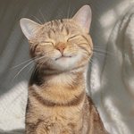 비<b>문학</b> 솔직히 나이에 비해 너무 어렵지 않냐