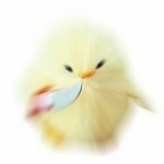 [NCT칠프] 오 오늘 떡밥 큰거 <b>오나</b>봄