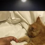 [댓글부탁해] 못생기고 성격 좋은 사람 없는듯