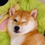 <b>사랑행</b>