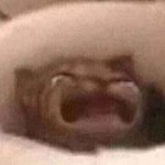 [댓글부탁해] 중3인데