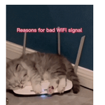 와이파이가 약해진 이윸ㅋㅋㅋㅋㅋㅋㅋ