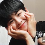 팬