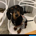 <b>무인</b>펫마트 얼마전에 생긴거라