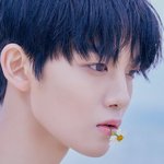 오 배진영 존잘됨ㄷㄷㄷㄷㄷ