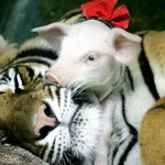 왠지 더 뭉클한 <b>보모</b>의 사랑