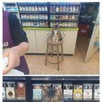 새로 <b>온</b> 편의점 알바가 맘에 <b>안</b>든다냥