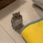 [ㅈㄱㄴ] 남자들이 <b>bl</b>볼때 기분을 알아버림