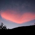<b>유산</b> 후 첫 게시된 박시은 인스타