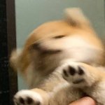 <b>재수</b> 선택한거 ㅈㄴ후회된다