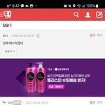 [댓글부탁해] 내 글에서 자아<b>분열</b>하는 애 봄