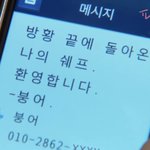 확실히 살면서 소확<b>행이</b>