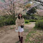 [ㅈㄱㄴ] 토모토모 유인 <b>스펙</b>