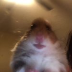 고1판녀… 1학기 평균 5등급 맞고 아직 정신못<b>차림</b>