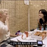 키랑 <b>호시</b> 회사 대하는 차이