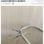 [댓글부탁해] <b>겨</b><b>쿨</b> 브라이트인 애 없냐