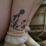 [댓글부탁해] 가드름 등드름 있는 애 <b>정떨</b>